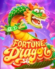 56D.COM