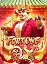 56D.COM